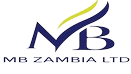 Mthoniswa Banda Consultancy Ltd Logo